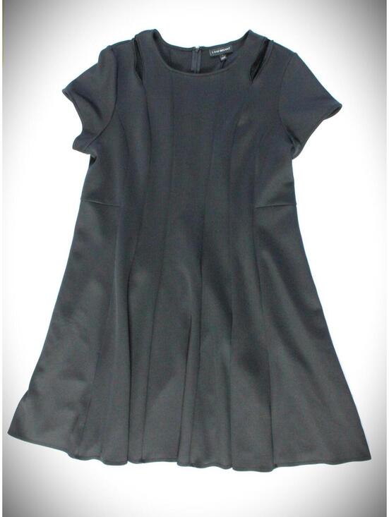 Lane Bryant Dresses & Skirts - Lane Bryant Women's Plus 22 Pleated Short Sleeve Fit & Flare Cutout Mini Dress